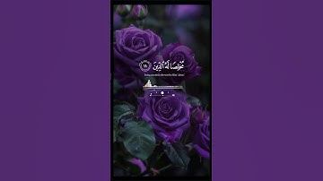 #سورة #الزمر #ماهر_المعيقلي #dilen_elias #اكسبلور #quran #لايك #ارح_قلبك #اطمئنان_القلوب #راحة_نفسية