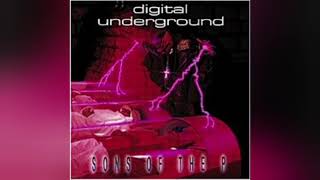 Digital Underground - Kiss You Back