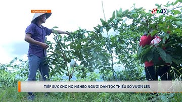 TIẾP SỨC CHO HỘ NGHÈO NGƯỜI DÂN TỘC THIỂU SỐ VƯƠN LÊN