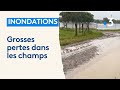 Les inondations dtruisent les champs alsaciens