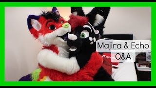 Majira & Echo's Furry Q&A