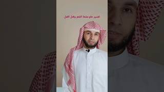 تفسير حلم تمشيط الشعر وقتل القمل