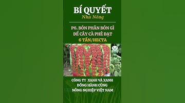 P6. Bón phân để cà phê đạt 6 tấn/ha #farming