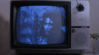 peake - tantalyse [musicvideosforslowlyfallingapart]