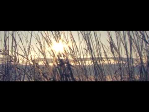 25/17 Собака (DJ Navvy mix) adlı videoyu YouTube'da izle