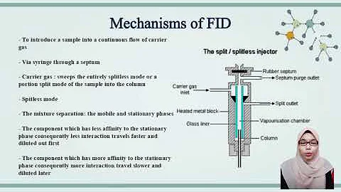 Gas Chromatography - Flame Ionization Detector