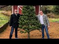 The Annual Christmas Tree Drop - 2018 (Trailer)