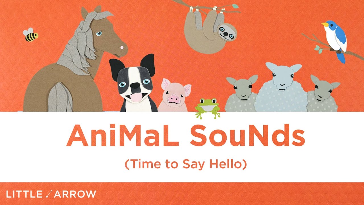 Animal Sounds Song (Time To Say Hello) | Little Arrow Family Songs - YouTube