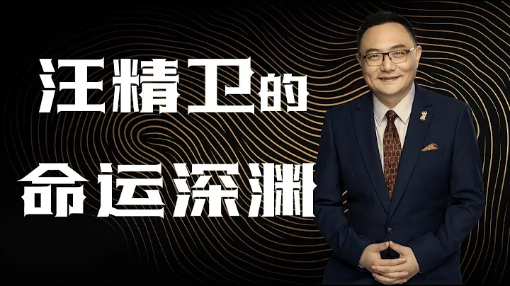 羅輯思維 171 汪精衛的命運深淵 - 天天要聞