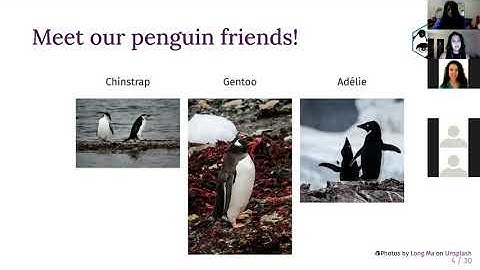 R-Ladies Chicago (English) - An Antarctic Tour of the Tidyverse - Silvia Canelón