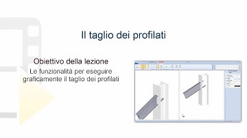 Tutorial NeXus - Il taglio dei profilati - ACCA software
