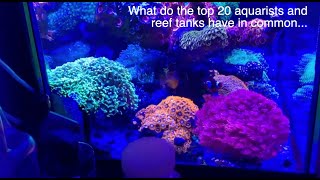 Top 20 reef tanks and the common parameter ratios - Small Saltwater Tank Simple Saltwater Aquarium screenshot 4