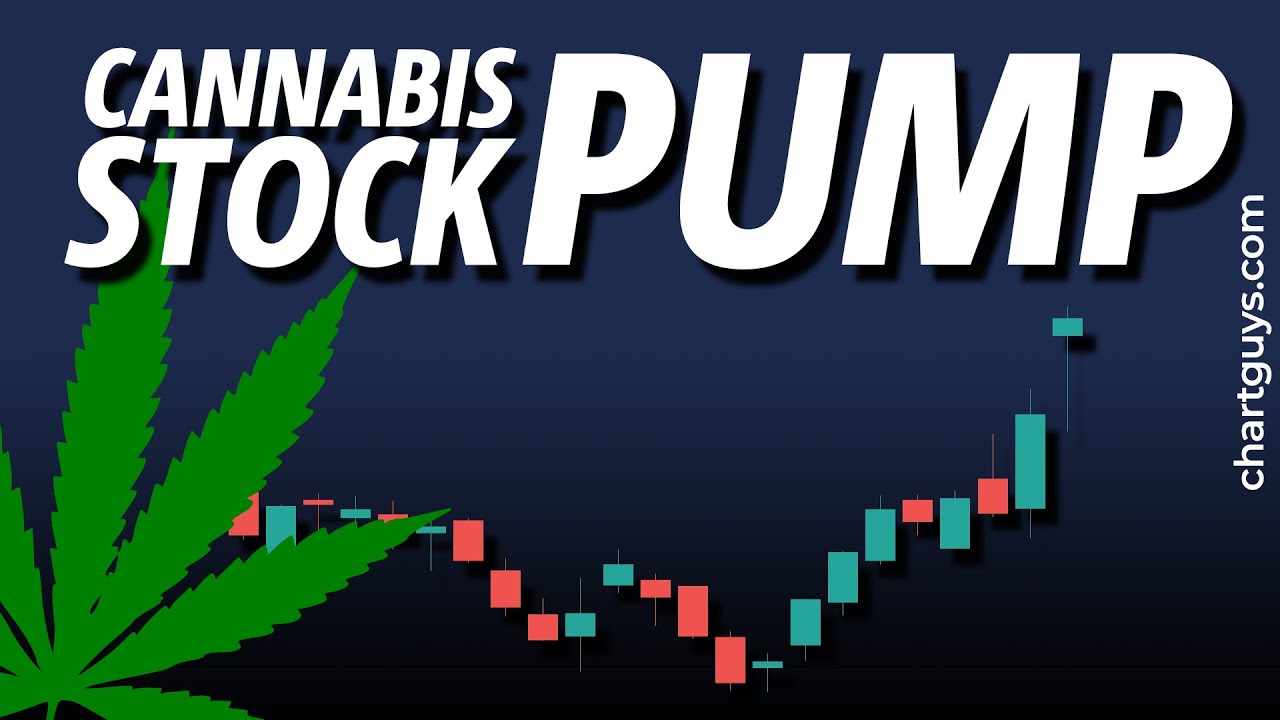 Cannabis Stocks Pump