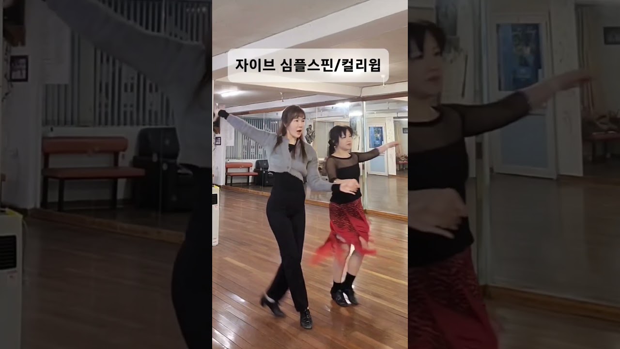 자이브Jive 심플스핀,컬리윕