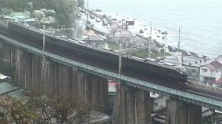 (JR東)E655系御乗用列車(伊豆急線)(平成25年3月25日)(再UP)