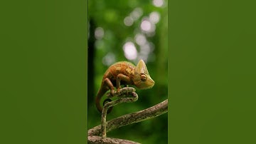 realistic 3d render in blender, what should I model next? #blender #blender3d #3dart