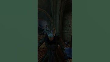 This happens sometimes #Morrowind