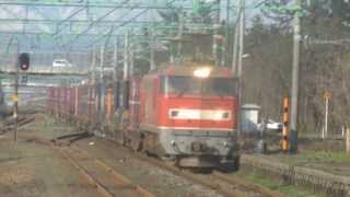 EF510-19牽引4095レ犀潟通過