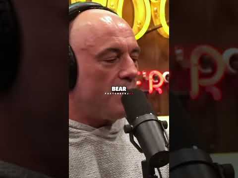 Jre Clips Youtube