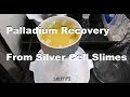 Palladium Recovery From Silver Cell Slimes pt1