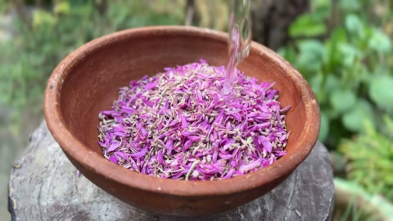 झारखंड के जंगलों में मिलने वाला औषधि गुणों से भरपूर जीरहूल फूलों की सब्ज़ी /Jerhul Phool recipe