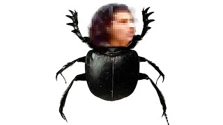 Otobüse Sçan Adam. Cidden