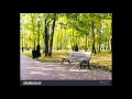 Beautiful days/LOVE PSYCHEDELICO[cover]