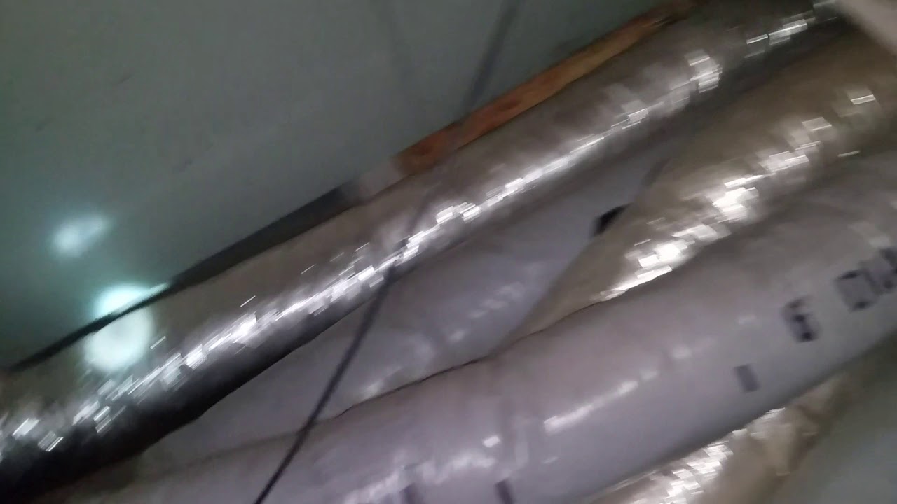 Bat Contamination Cleanup Branchburg NJ 732 698 8387