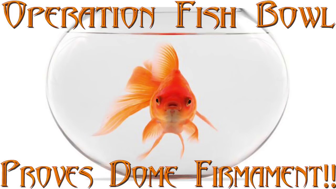 Operation Fish Bowl YouTube
