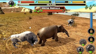 Elephant VS KİNG LİON Hippo, Chetah Wild Elephant Simulator by Mobbox US 936 views 2 years ago 10 minutes, 26 seconds