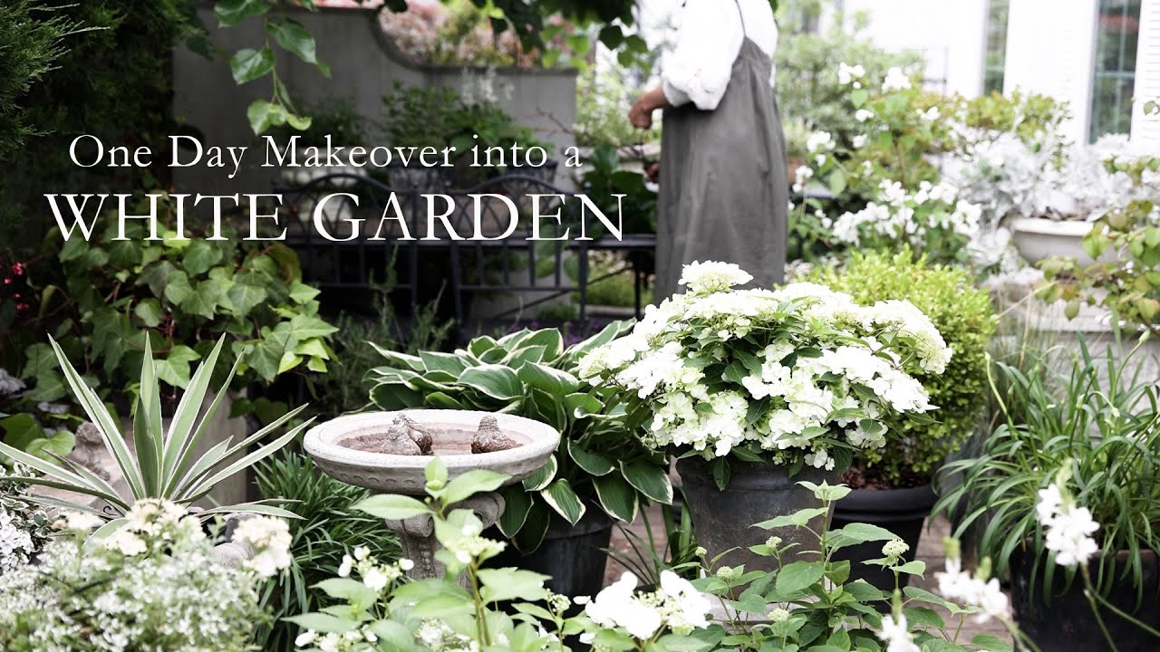 Преображение сада в начале лета: создание бело-зеленого сада