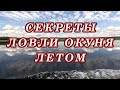 СЕКРЕТЫ ЛОВЛИ ОКУНЯ летом! Когда ЛУЧШЕЕ Время для рыбалки на окуня!