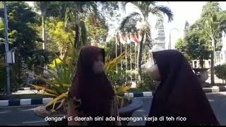 Iklan pemberitahuan