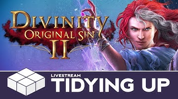 Divinity: Original Sin II - Part 38 - Tidying Up Before The End