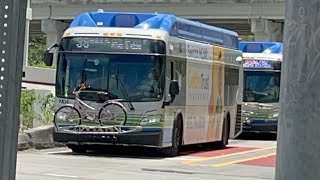 MDT 2019 New Flyer XN40 #19134 & #19188 – Route 38
