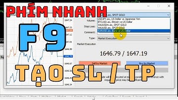 Cách sử dụng phím nhanh F9 New Order để tạo SL, TP - Hướng dẫn sử dụng MT4 (Meta Trader 4)