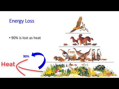 Energy Pyramid
