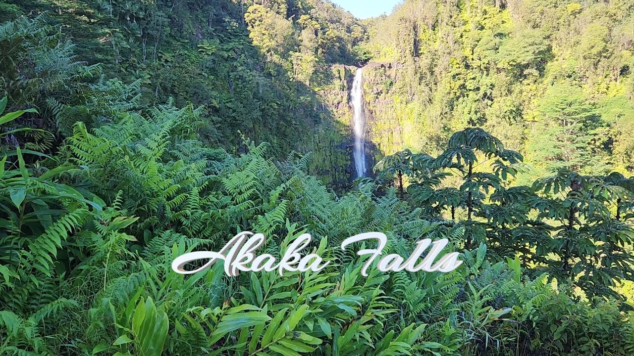 Fall for Akaka: Aloha Series - YouTube