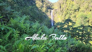 Fall for Akaka: Aloha Series by Turnpikes & Twisties 55 views 4 months ago 9 minutes, 39 seconds