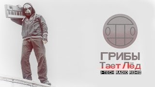 Грибы – Тает Лёд (J -Tech Radio Remix) ПРЕМЬЕРА! Грибы – Тает Лёд (J -Tech Radio Remix) ПРЕМЬЕРА!