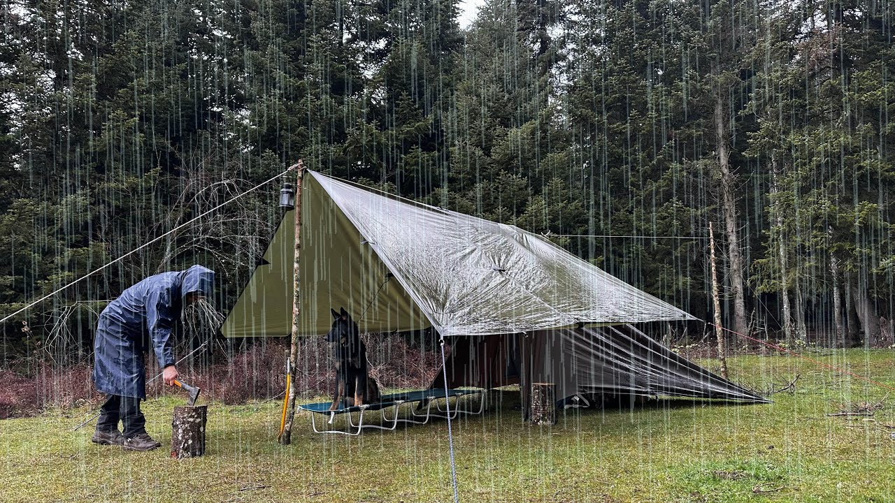 Solo Camping in Heavy Rain ⛈️ Relaxing Tarp Shelter - Sleeping with ...