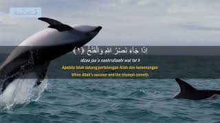 Q.Surah 110 | An - Nasr | Ridjal Ahmed