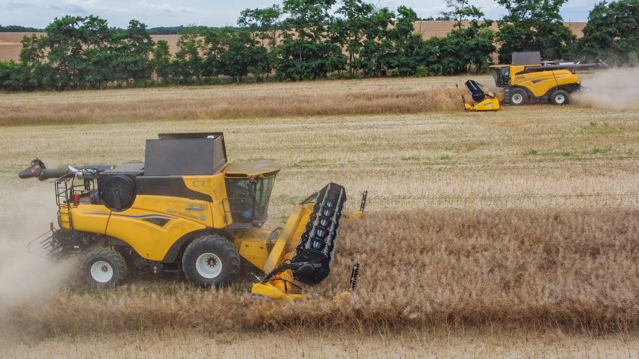 🌾Žatva 2024 - 2x NEW HOLLAND CR 9.90 (2024), CX 8080