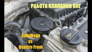 Клапаны ВКГ AutoMega и Quattro Freni - что лучше?