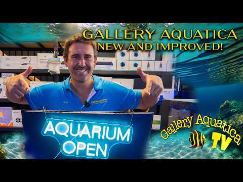 Bigger and better! Gallery Aquatica Tingalpa opens its doors | Gallery Aquatica TV
