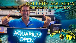 Bigger and better! Gallery Aquatica Tingalpa opens its doors | Gallery Aquatica TV