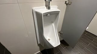 [333] Rare TOTO Lloyd Urinal!