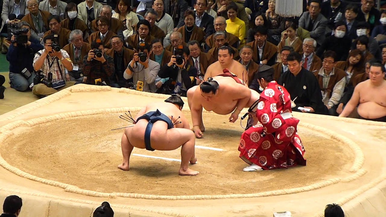 稀⭕️大相撲、横綱、白鵬、日馬富士、大関、魁皇、35代庄之助 稀⭕️大相撲、横綱、白鵬、日馬富士、大関、魁皇、35代庄之助
