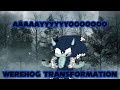 Sonic the werehog transformation phase 1-4