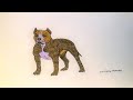 Как нарисовать Собаку Питбуля||How to draw a Dog